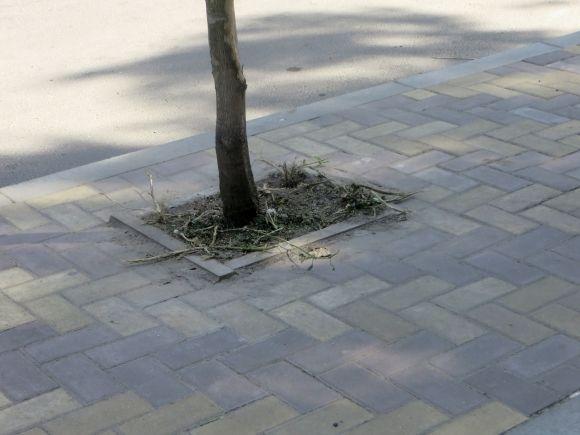 Ремонт за 1,2 мільйона: що зробили біля міської лікарні на сайті vsim.ua Ремонт за 1,2 мільйона: що зробили біля міської лікарні, фото №6 на сайті vsim.ua