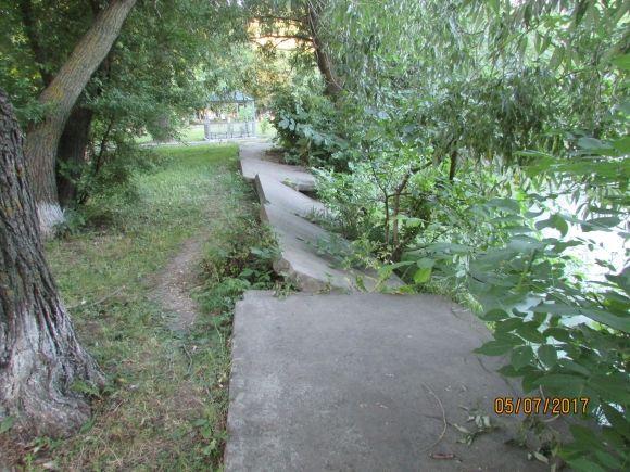 Десь зрізають живе, а гниле прибрати нікому, фото №4 на сайті 20minut.ua