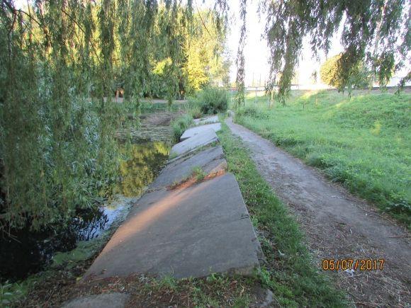 Десь зрізають живе, а гниле прибрати нікому, фото №5 на сайті 20minut.ua