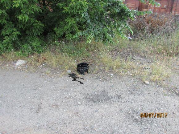 Десь зрізають живе, а гниле прибрати нікому, фото №10 на сайті 20minut.ua