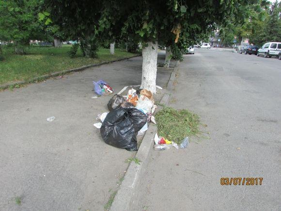 Десь зрізають живе, а гниле прибрати нікому, фото №23 на сайті 20minut.ua