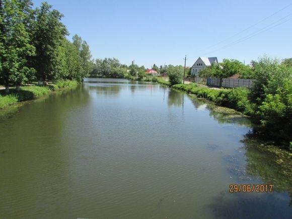 Десь зрізають живе, а гниле прибрати нікому, фото №20 на сайті 20minut.ua