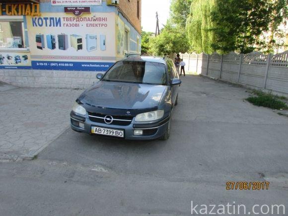 Десь зрізають живе, а гниле прибрати нікому, фото №18 на сайті 20minut.ua