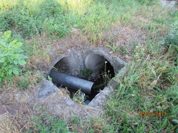 Десь зрізають живе, а гниле прибрати нікому, фото №7 на сайті 20minut.ua