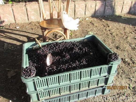 Десь зрізають живе, а гниле прибрати нікому, фото №15 на сайті 20minut.ua