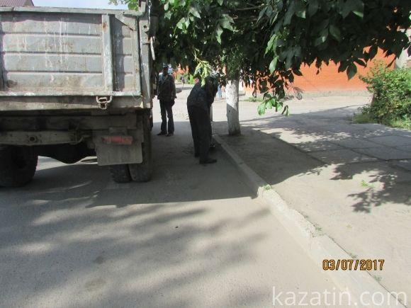 Десь зрізають живе, а гниле прибрати нікому, фото №24 на сайті 20minut.ua