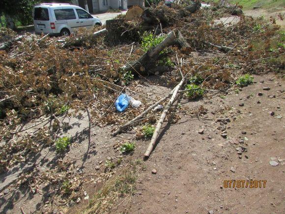 Центр готують до Дня Міста, а про околиці, що забули? на сайті 20minut.ua Центр готують до Дня Міста, а про околиці, що забули?, фото №3 на сайті 20minut.ua