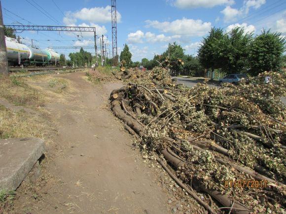 Центр готують до Дня Міста, а про околиці, що забули? на сайті 20minut.ua Центр готують до Дня Міста, а про околиці, що забули?, фото №2 на сайті 20minut.ua
