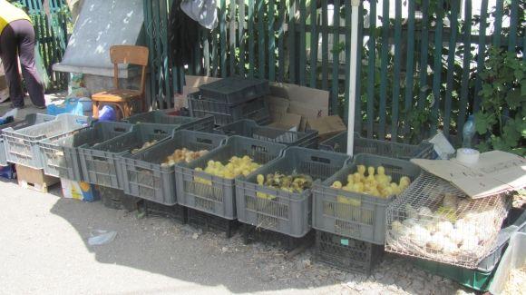 Центр готують до Дня Міста, а про околиці, що забули? на сайті 20minut.ua Центр готують до Дня Міста, а про околиці, що забули?, фото №19 на сайті 20minut.ua