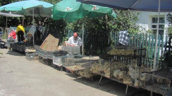 Центр готують до Дня Міста, а про околиці, що забули? на сайті 20minut.ua Центр готують до Дня Міста, а про околиці, що забули?, фото №18 на сайті 20minut.ua