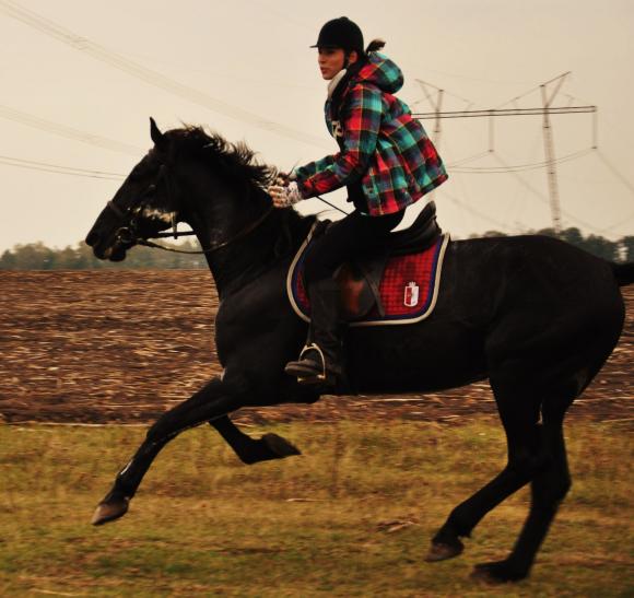Новини Вінниці - фото з Где в Виннице можно покататься верхом на лошади и сколько это стоит Где в Виннице можно покататься верхом на лошади и сколько это стоит, фото №3 на сайті 20minut.ua