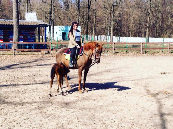 Новини Вінниці - фото з Где в Виннице можно покататься верхом на лошади и сколько это стоит Где в Виннице можно покататься верхом на лошади и сколько это стоит, фото №5 на сайті 20minut.ua