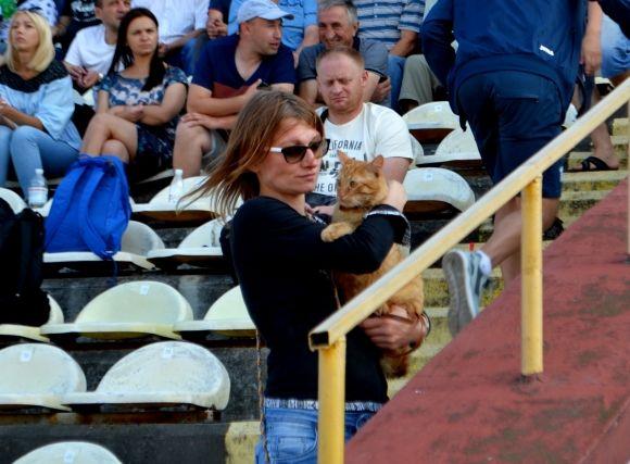 Футбольний рецепт по-вінницьки: як перемогти «Поділля» за 30 хвилин на сайті vsim.ua Футбольний рецепт по-вінницьки: як перемогти «Поділля» за 30 хвилин, фото №9 на сайті vsim.ua