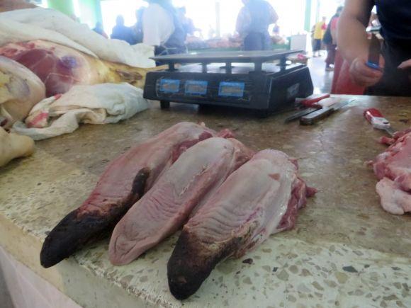 За м’ясо - 120 гривень, за сало - 75. На хмельницькому ринку подорожчала свинина на сайті vsim.ua За м’ясо - 120 гривень, за сало - 75. На хмельницькому ринку подорожчала свинина, фото №8 на сайті vsim.ua