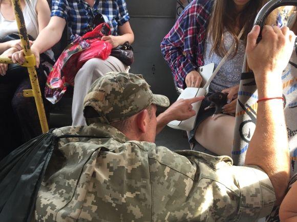 В тернопільських маршрутках катається щур Джеррі, фото №2 на сайті 20minut.ua