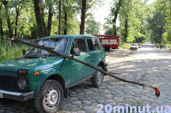 Біля "Епіцентру" на "Ниву" впала гілка. Водія забрала швидка (ОНОВЛЕНО), фото №1 на сайті 20minut.ua
