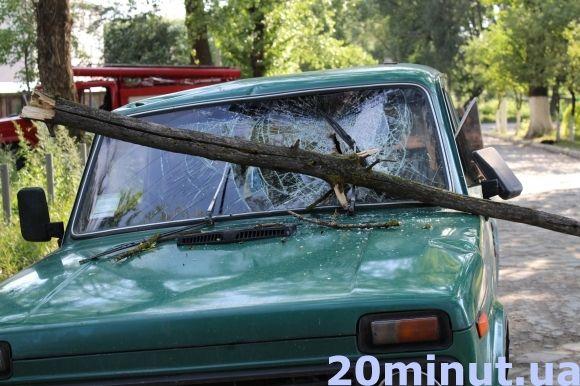 Біля "Епіцентру" на "Ниву" впала гілка. Водія забрала швидка (ОНОВЛЕНО), фото №3 на сайті 20minut.ua