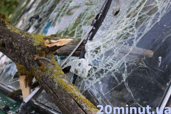 Біля "Епіцентру" на "Ниву" впала гілка. Водія забрала швидка (ОНОВЛЕНО), фото №2 на сайті 20minut.ua