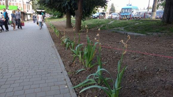 Новини Хмельницького - фото з “Коли ганяють, переходжу на другу сторону”, - стихійні торговці на проспекті Миру “Коли ганяють, переходжу на другу сторону”, - стихійні торговці на проспекті Миру, фото №1 на сайті vsim.ua
