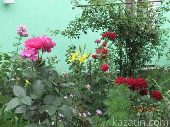Козятин чепуриться до свого Дня народження, фото №50 на сайті 20minut.ua