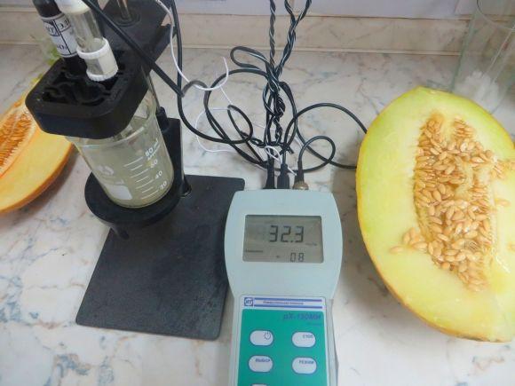 Чи варто вже їсти диню? Журналісти vsim.ua перевірили її на нітрати на сайті vsim.ua Чи варто вже їсти диню? Журналісти vsim.ua перевірили її на нітрати, фото №2 на сайті vsim.ua