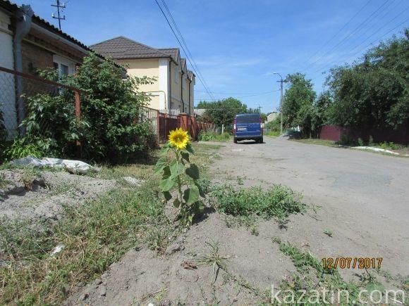 Козятин чепуриться до свого Дня народження, фото №43 на сайті 20minut.ua