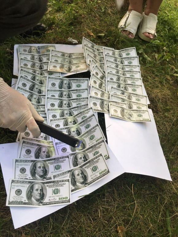 Заступниця директора Хмельницького медичного коледжу вимагала 4500 доларів за прийом на навчання, фото №1 на сайті vsim.ua