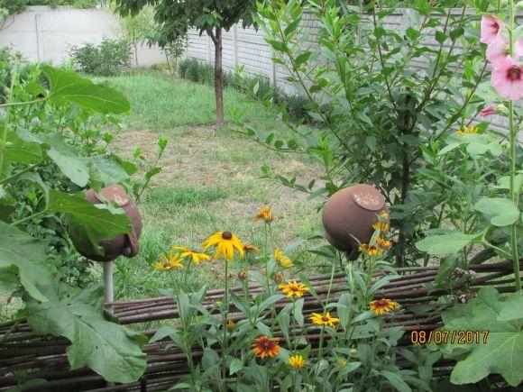 У Флоріанівці живуть європейці на сайті 20minut.ua У Флоріанівці живуть європейці, фото №12 на сайті 20minut.ua