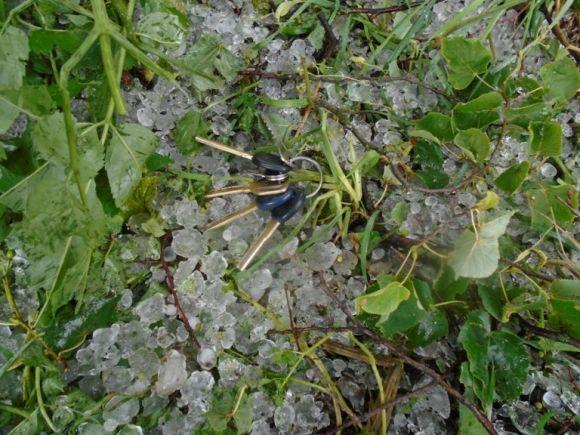 На Хмельниччині негода повалила дерева і порвала дроти, фото №1 на сайті vsim.ua