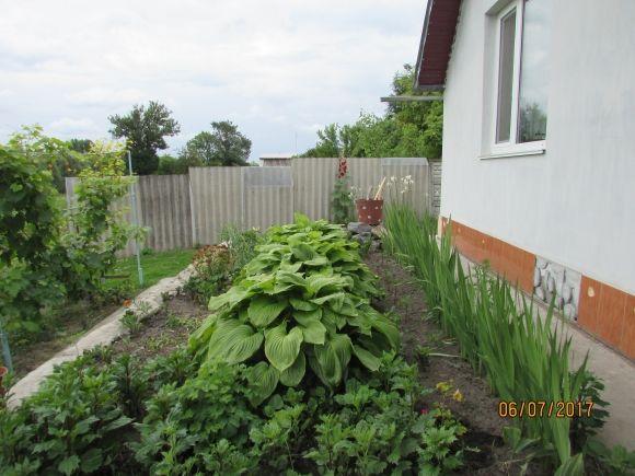 У Флоріанівці живуть європейці на сайті 20minut.ua У Флоріанівці живуть європейці, фото №3 на сайті 20minut.ua