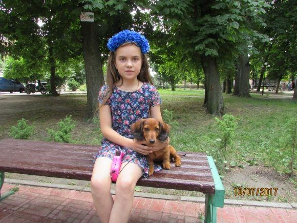 Що ви хочете побажати Козятину з нагоди дня народження?, фото №1 на сайті 20minut.ua