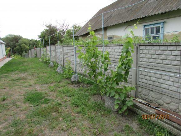 У Флоріанівці живуть європейці на сайті 20minut.ua У Флоріанівці живуть європейці, фото №10 на сайті 20minut.ua