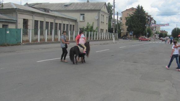 Єнот і поні на День міста додавали козятинчанам гарного настрою на сайті 20minut.ua Єнот і поні на День міста додавали козятинчанам гарного настрою, фото №10 на сайті 20minut.ua