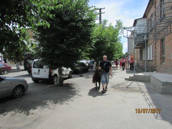 Єнот і поні на День міста додавали козятинчанам гарного настрою на сайті 20minut.ua Єнот і поні на День міста додавали козятинчанам гарного настрою, фото №1 на сайті 20minut.ua