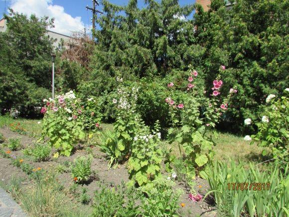 Перший день після святкового вікенда, фото №14 на сайті 20minut.ua