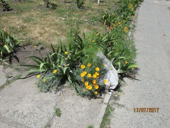 Перший день після святкового вікенда, фото №12 на сайті 20minut.ua