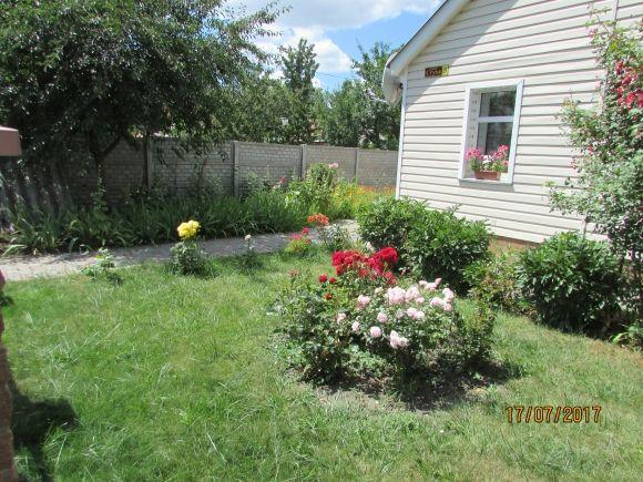 Перший день після святкового вікенда, фото №15 на сайті 20minut.ua