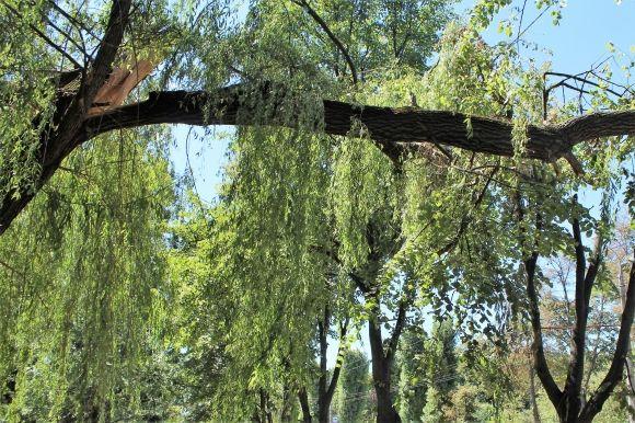 «Тут краще, коли діти маленькі». Життя навколо підшипникового заводу на сайті 20minut.ua «Тут краще, коли діти маленькі». Життя навколо підшипникового заводу, фото №11 на сайті 20minut.ua