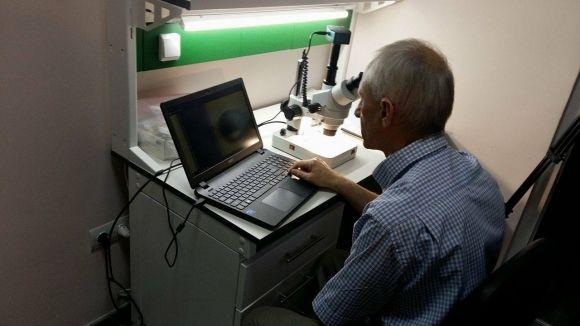 Перевірити кліщів на інфекції можна в тернопільському медуніверситеті, фото №5 на сайті 20minut.ua