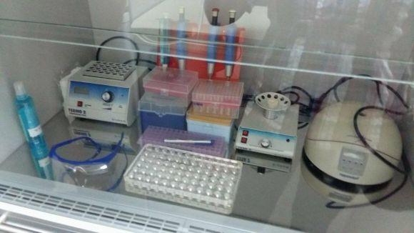 Перевірити кліщів на інфекції можна в тернопільському медуніверситеті, фото №4 на сайті 20minut.ua