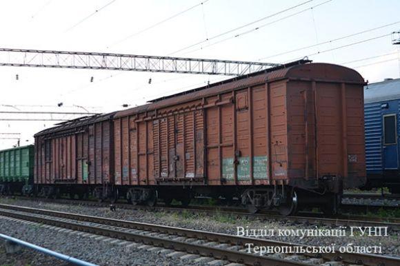 27 тисяч вольт пройшло через тіло 15-річного любителя екстримального селфі, фото №1 на сайті 20minut.ua