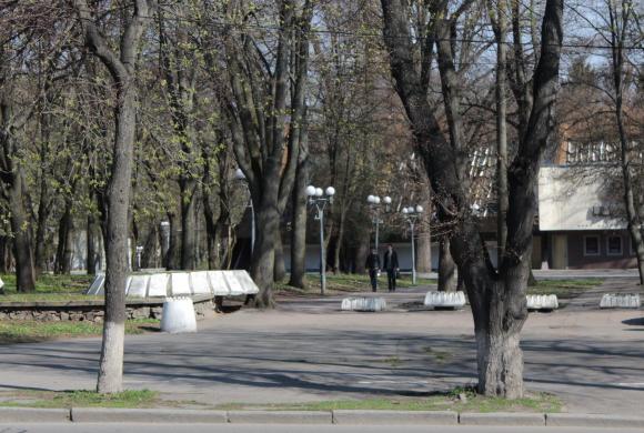 «Я була в Польщі, але там вапном не фарбують дерева». А що у Вінниці? на сайті 20minut.ua «Я була в Польщі, але там вапном не фарбують дерева». А що у Вінниці?, фото №2 на сайті 20minut.ua