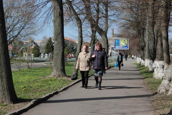 «Я була в Польщі, але там вапном не фарбують дерева». А що у Вінниці? на сайті 20minut.ua «Я була в Польщі, але там вапном не фарбують дерева». А що у Вінниці?, фото №1 на сайті 20minut.ua