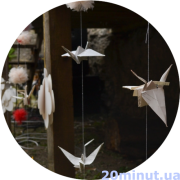 Як Кам’янець відпочивав на «Zagata Music Day», фото №15 на сайті 20minut.ua