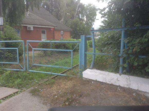 З посмішкою читаєш, як виправдовується Стецюк, фото №2 на сайті 20minut.ua