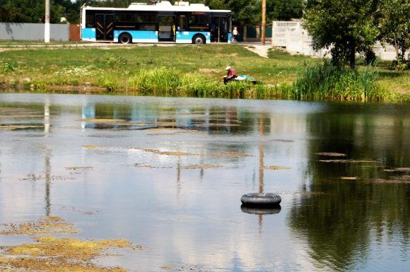 На Тяжилові в озері плаваючі клумби без квітів. Їх знищили качки на сайті 20minut.ua На Тяжилові в озері плаваючі клумби без квітів. Їх знищили качки, фото №3 на сайті 20minut.ua