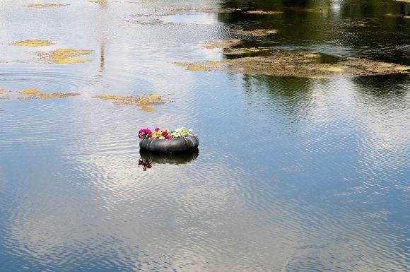 На Тяжилові в озері плаваючі клумби без квітів. Їх знищили качки на сайті 20minut.ua На Тяжилові в озері плаваючі клумби без квітів. Їх знищили качки, фото №1 на сайті 20minut.ua