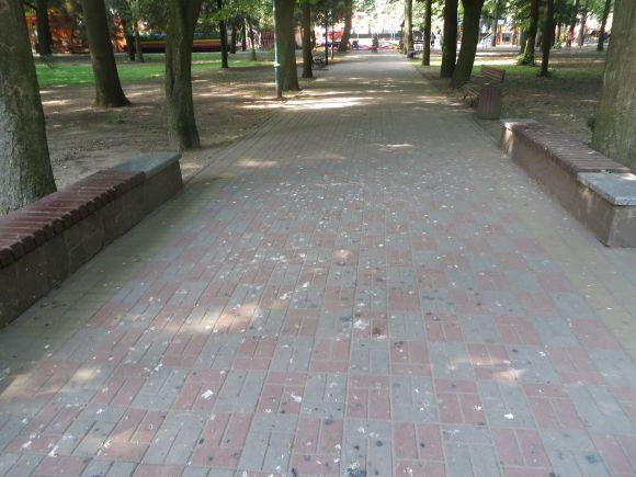 Птахів, які "бомблять" сквер Шевченка, будуть відлякувати “Коршуном” на сайті vsim.ua Птахів, які "бомблять" сквер Шевченка, будуть відлякувати “Коршуном”, фото №4 на сайті vsim.ua