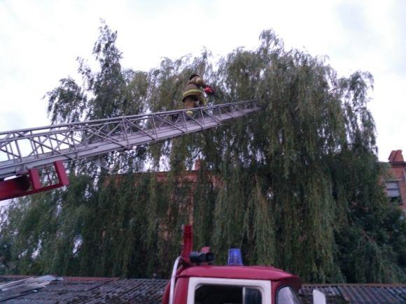 Наслідки негоди на Хмельниччині: тисячі людей залишилися без світла на сайті vsim.ua Наслідки негоди на Хмельниччині: тисячі людей залишилися без світла, фото №1 на сайті vsim.ua