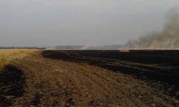 Масштабна пожежа під Вінницею: згоріло поле пшениці. Дим був до неба, фото №1 на сайті 20minut.ua